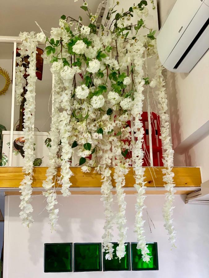 La Finestrella Dell'Arte Un Orizzonte Da Guardare Apartment Anzio Exterior foto